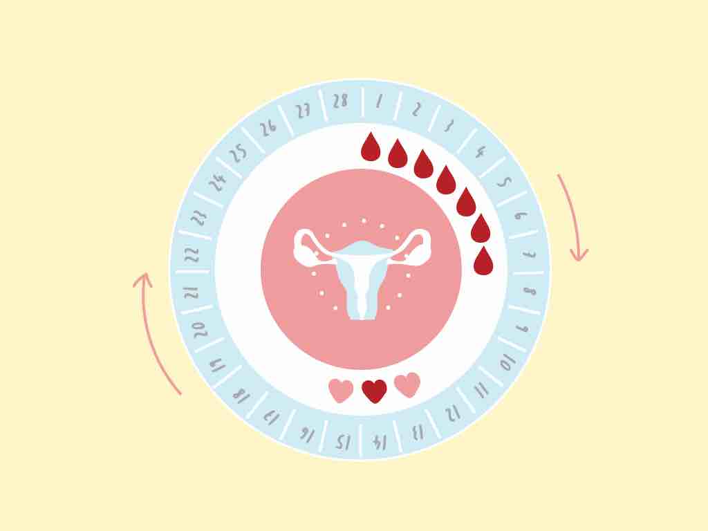 induzione dell'ovulazione