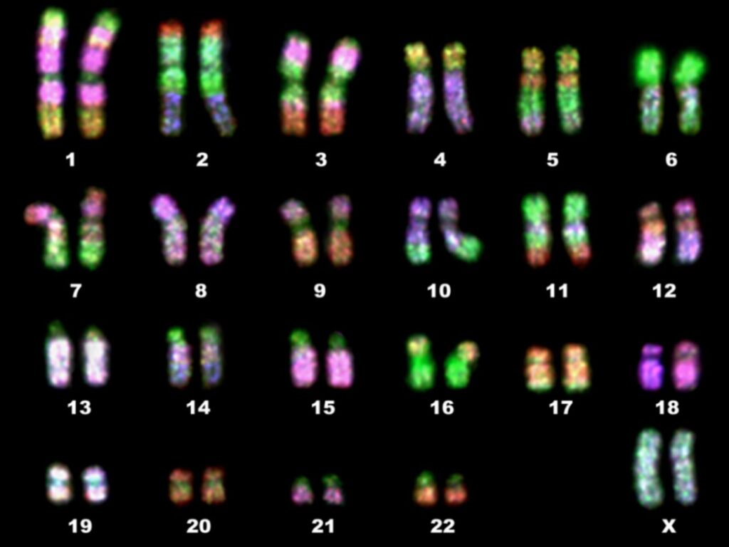 esami genetici